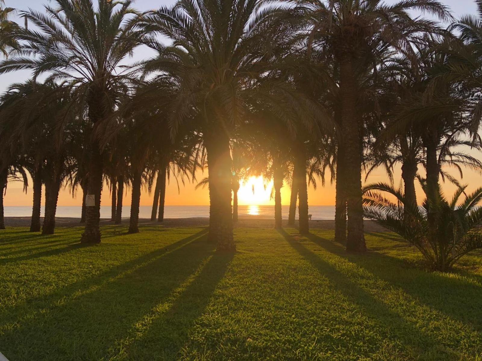 Apartamento Playamar - Torremolinos Primera Linea Playa Exteriör bild